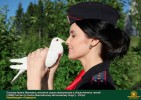 Лучшие работы 2017 года