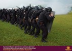 Лучшие работы 2017 года