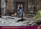 Лучшие работы 2017 года