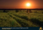 Лучшие работы 2017 года