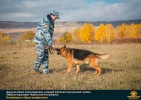 Лучшие работы 2017 года