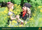 Лучшие работы 2017 года