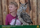 Лучшие работы 2017 года