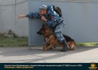 Лучшие работы 2017 года