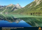 Лучшие работы 2017 года