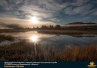 Лучшие работы 2017 года