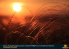 Лучшие работы 2017 года