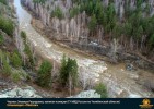 Лучшие работы 2017 года