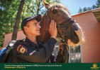 Лучшие работы 2017 года