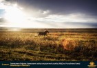 Лучшие работы 2017 года
