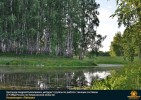 Лучшие работы 2017 года