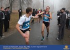 Лучшие работы 2017 года