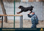 Лучшие работы 2017 года