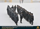Лучшие работы 2017 года