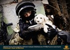 Лучшие работы 2017 года