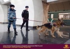 Лучшие работы 2017 года