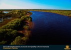 Лучшие работы 2017 года