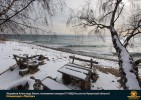 Лучшие работы 2017 года