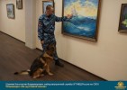 Лучшие работы 2017 года