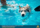 Лучшие работы 2017 года