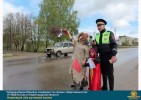 Лучшие работы 2017 года