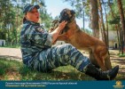 Лучшие работы 2017 года