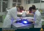 Лучшие работы 2018 года