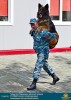Лучшие работы 2020 года
