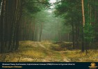 Лучшие работы 2020 года