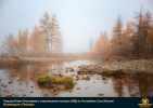 Лучшие работы 2020 года