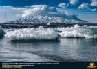 Лучшие работы 2020 года