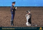 Лучшие работы 2020 года