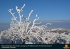 Лучшие работы 2020 года