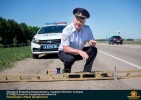 Лучшие работы 2020 года