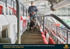 Лучшие работы 2020 года