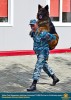 Лучшие работы 2020 года