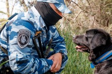 Волков И.Д. - НП - Понимание с одного взгляда