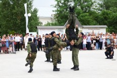 Султаналиев В.Р. - СФ - Сальто