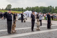 Лукиянчук Ю.П.НШВ - 4(144)