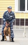 НШВ - 1. Романовская В.В. Вместе весело шагать. 