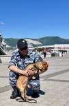 Барышева К.Ю. -НП- 3