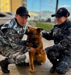 Барышева К.Ю. -НП- 2