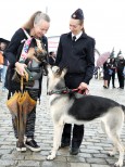 НШВ - 6 Горбиков Н.А.