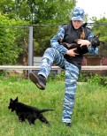 НШВ - 4 Горбиков Н.А.