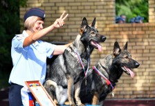 ПГО - 11 Горбиков Н.А.