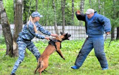 НП - 23 Горбиков Н.А.
