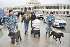 ПГО - 39 Горбиков Н.А.