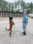 НП - 1 Акимов А.А.
