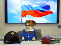 Сударчиков Н.Д. -НШВ-  Ловлю не мячи, а преступников!