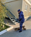 НШВ - 1 Рыбъякова Е.А